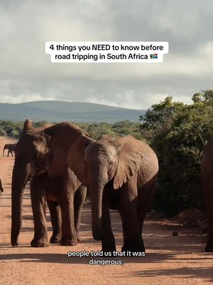 ad | Save this for your SA road trip! 🚘🇿🇦 Before travelling to South Africa we had so many people tell us it was dangerous. But we think the biggest danger is not visiting and missing out on all of this.  Take note of these 4 things that you should know before visiting👇🏼 1️⃣ Keep luggage in the boot of your car - it’s much safer this way and deter’s any potential criminals from breaking into your vehicle.  2️⃣ Stay connected with @Holafly | eSIM Plans - this is a monthly eSIM subscription with one single eSIM installation, coverage in 160+ destinations, and a flat monthly price. Keeping you connected across borders. It gave us peace of mind for the whole month on the road and enabled us to work on the road too!  Plus you can use our code “THENOMADSYOUKNOW” for 10% off.  3️⃣ Reach your destination before dark - driving conditions worsen at night with not very well lit highways. South Africa has plenty of wildlife that can become a problem.  4️⃣ Talk to locals - the best way to learn about the area is speak with those who live there. We would always ask our host for information on safe areas to walk and the general vibe of the area.  During the month we spent in South Africa we never once felt unsafe. Just like with most parts of the world, if you take precautions and are aware of your surroundings, you will have a stress free trip.  Are you planning to visit South Africa in 2026? #southafrica #southafricaroadtrip #africatravel #travelsouthafrica #adventuretravel    