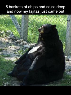 Can’t take the sizzle to go . . #chipsandsalsa #fajitas #bear #fyp #viral