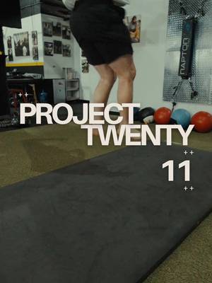 PROJECT 11 - jumping back into things 