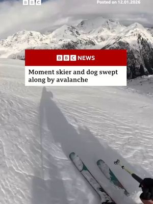 Spanish skier Ares Masip was out with her dog Cim when she was caught up in an avalanche. #Andorra #Skiing #Avalanche #Snow #BBCNews