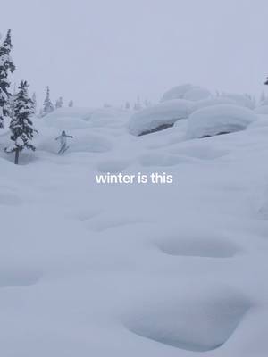 A reminder to #neverstopexploring in any weather ❄️ 