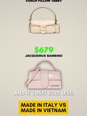 This $680 bag had the better label, but not the better quality. #FashionTok #Jacquemus #CoachBags #LuxuryBags #PriceVsQuality #LuxuryTruth #BagTok #TannerLeatherstein