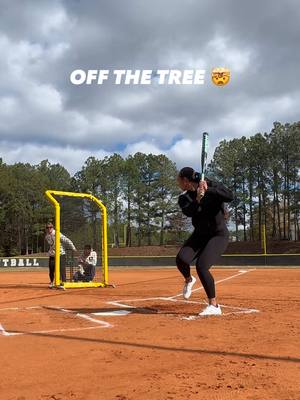 Off the tree is crazy😳 #softball #fastpitch #homer #ASURA #edit