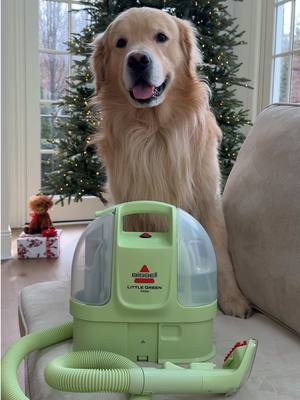 Drake makes a mess and the @BISSELL Clean Little Green Mini makes it disappear! 🐶✨ #LittleGreenMini #BISSELLpartner 