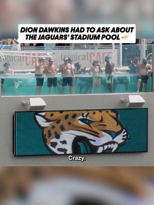 He couldn't believe it 😂 #diondawkins #buffalobills #nfl via @nfl