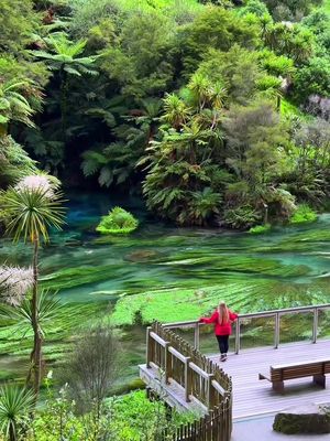 The clearest water in the world?! 💦😍📍👇 ✨ Send this to your travel buddy! 📍 Putaru Blue Spring 🧚🏼 Did you know the Putaruru Blue Spring supplies up to 70% of New Zealand’s bottled water and is considered one of the clearest freshwater springs in the world? The vibrant turquoise color comes from ultra-pure water filtered naturally through volcanic rock for up to 100 years. Walking along this spring feels like stepping into a real life fairy tale.  🌿 This experience was MAGICAL. Strolling through lush forest, listening to birdsong, and watching the crystal clear water glow an unreal shade of blue… we think it’s one of the most peaceful and beautiful nature spots in New Zealand. 🏷️ Price: Free entry  ⏱️ Time: Allow 30–60 minutes for the walk and viewing Who would you explore the Blue Spring with?! 💙🇳🇿 #newzealand #newzealandtrip #bucketlist #naturelover #bucketlisttravel 