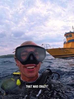 we got hammered in Japan! 🍻🦈🇯🇵 Nothing quite like the feeling of swimming alongside hundreds of hammerhead sharks! Such a wild and unique experience that can only be experienced a few places in the world! 🤯🌎 Grateful to tick it off this experience here in Yonaguni Island Japan. Japans western most point! 📍🇯🇵 Diving with the team at @souwes_yonaguni 🦈