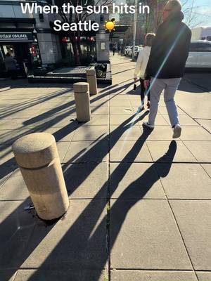 Gotta love a sunny moment #fyp #fypシ #fypシ゚viral #foryou #sunny 