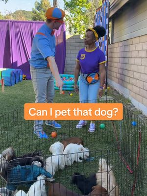 Don't worry, I pet ALL the dogs. #blippi #puppies 