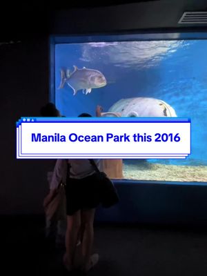 Is Manila Ocean Park worth visiting in 2026?🔥🐠 