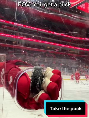 This is why we LOVE hockey #NHL #hockey 