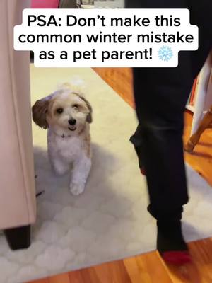Cold temps don’t just change the weather ❄️ they change your dog’s calorie needs too. Staying warm + moving through snow = extra energy burned… even without longer walks 🐾