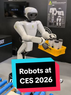 Robots are Everywhere at CES 2026