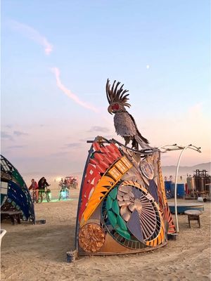 Your next sunrise will be unforgettable ☀️ Claim it.  Mark your calendars! The Sunrise Sale for tickets to Black Rock City 2026 is February 4, with registration January 26 to February 3. This is your best chance to secure your spot in Black Rock City 2026 and fuel connection and joy at the most unique event on the planet. Art in the video: “Haven” by Flaming Lotus Girls, “One Tin Soldier” by Mark Deem and the Misfit Toys, “Los Animales de la Playa” by Muchos Amigos #burningman #blackrockcity #brc #sunrisesale #burningman2026 