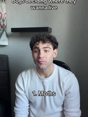 Bugs determining where they will live #comedy 
