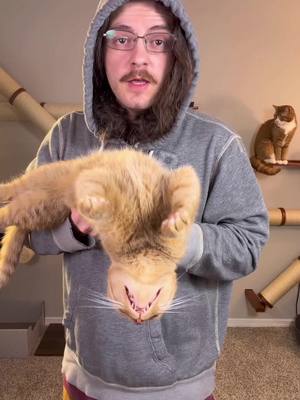 Always deal with your cats hairballs ahead of time #cat #catsoftiktok #catlovers #cattips #cattreats 
