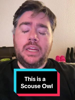 What accent next? #owl #viral #liverpool #uk #british 