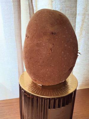 #zachbryan #potato #fypシ #foryoupage 