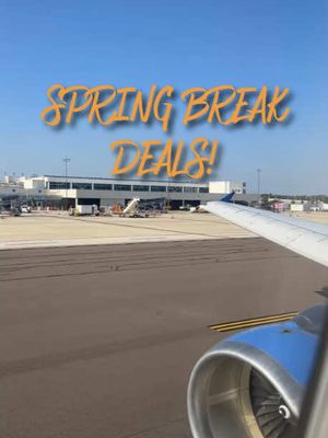 Spring Break made simple. Nonstop fares from $50* mean your getaway is closer than you think. Choose your destination, pack your bags, and make this Spring Break exactly how you want it—your trip, your way. Book today at algt.info/SpringSavingsTT *Seats and dates are limited. Restrictions apply. 🎥: @NICOLE ✨ 