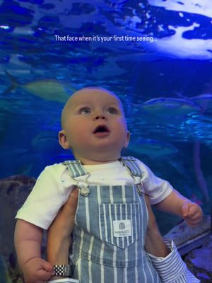 He thought life was milk and naps…🦈😳 Seeing the world through his eyes for the first time 🥹💙 #babyreaction #sydney #babytok #babyboy #momlife  