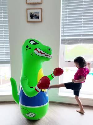 Have a high-energy toddler like mine and the weather or snow storms are keeping you stuck inside, this has been a lifesaver!