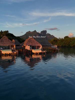 ✨ Consider this your sign to book that Bora Bora trip in 2026!  📍The island of Bora Bora, located in French Polynesia is truly one of those places that’s at the top of everyone’s bucket list for a reason. This is the kind of place you leave and never forget.  ✈️ Follow for all your bucket list travel inspo!  #borabora #frenchpolynesia🇵🇫 #tropical #island #travel 