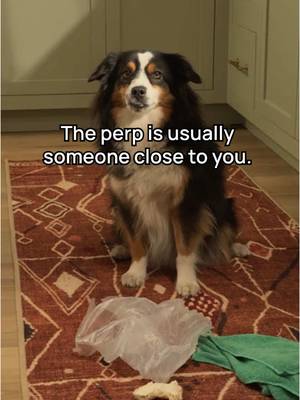 Like SVU, but washable. #ruggable #washablerug #kitchenrunner #kitchenrug #petmess #dogmom #petparent 