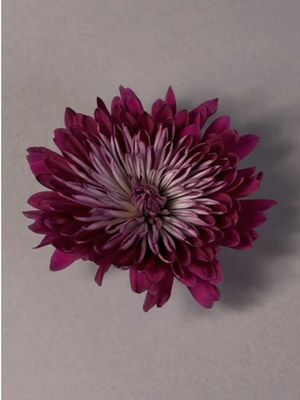 Start small, layer thoughtfully, watch it bloom.  #stopmotiontrend #flowers #bouquet #stopmotionanimation #urbanstems 