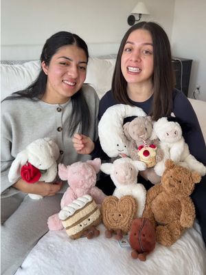 last video with Abby 💔 #jellycat #sis 