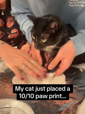Wait for it trust me🥺🐈‍⬛ #RoadTo19M #Pubity (@Olivia Sperduto via Collab)