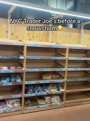 Basically shopping through the 30min+ checkout line😱 #nyc #snow #snowstorm #traderjoes #newyorkcity 