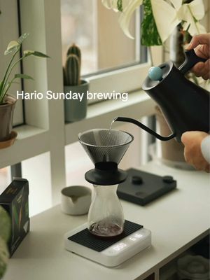 A Sunday morning brew session ☕️  Today I’m trying out the Hario Meteor filters, with the Neo 02 dripper.  I had to pair it with one of my favourite v60 recipes. Tetsu Kasuya’s method, that won him the 2016 brewers cup.  Grind: 20g course  Water: 300ml Temperature: 92c - 45 sec bloom 50ml - 0:45 70ml pour (120ml) - 1:30 60ml pour (180ml) - 2:15 60ml pour (240ml) - 3:00 60ml pour (300ml) - 3:30 lift the dripper The drawdown speed of this dripper and filter combination was extremely fast, so will have to adjust to a slightly finer grind next time. It’s impossible to make a bad cup of coffee with this method, in my opinion.  #coffee #homebrew #pourover #coffeeathome #homecafe 