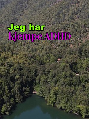 Man blir lett overstimulert om dagen😵‍💫 #hermanflesvig #lol #adhd #humor 