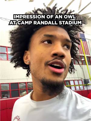 is this too niche? 😂🦉 @King Ty👑 @TyTy’s Brother #owl #who #Badgers #CollegeFootball #JumpAround