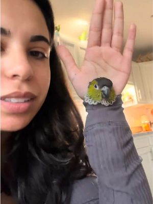 I would love to have this problem 🥲🦜 @thedailydavey_ 