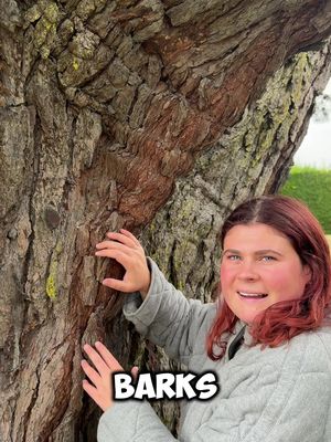 Did someone say join ANZ via the goMoney app and make $100 bucks? If it means I don’t need to climb anymore trees, I’m in 😝@ANZ Aotearoa  $100 promo ends 09/03/26, T&Cs apply, search Join ANZ for full details.