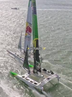 Does it jiggle or wiggle? 🤔 #SailGP #sailing #racing 