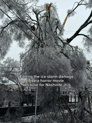 Trees exploding, power lines snapped. Cars spinning out. Ice everywhere. No power - house at 38 degrees. I've been in a lot of bigger snowstorms but i have never seen anything like this #icestorm #nashville #winterstorm #snowpocalypse #nashvilleweather