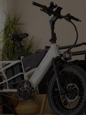 Ride Lectric This Valentine's Day!