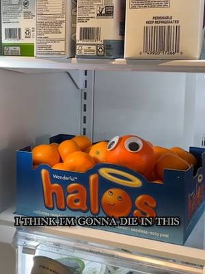 turns out they wanna eat me #sweet#ithinkimgonnadieinthishousememe