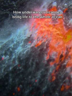 When lava meets the sea, it doesn't just create new land—the reaction also releases vital minerals that support entire marine ecosystems, starting with the ocean's smallest organisms. 🌋 #AmericasNationalParks is streaming on @Disney+ and @hulu.