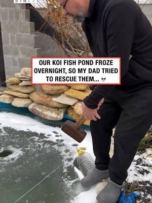 He now identifies as a koi fish 😅 (🎥: ViralHog)