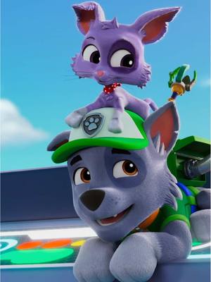 On a scale of 1 to Percy… how ready are you for the Rocky special? 🐱 Tune in for Rocky’s Cat-Astrophe special TOMORROW on @nickelodeon.  #PAWPatrol 