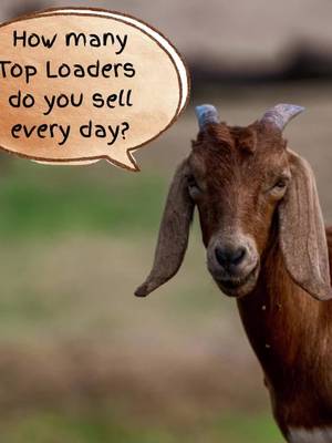 Elite Top Loaders are BACK IN STOCK and we’re feeling punny about it. #Goatarmor #DadJokes #Toploaders