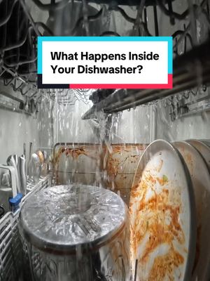 What happens inside your dishwasher?