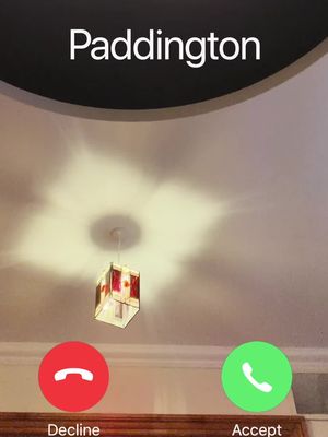 No matter how busy you are, when Paddington calls, it’s only polite to answer! 📱 #ThePaddingtonBearExperience #PaddingtonBear #HalfTerm