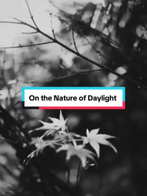 I filmed and edited this video for fun many years ago. Just spent a couple hours filming stuff in my parents garden. Thought I’d add one of my fave pieces of music to it as it’s currently having a moment. #maxrichter #hamnet #onthenatureofdaylight #nostalgia #nostalgiacore 