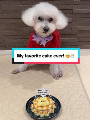 The love of my life is officially 19 years old 🎉 this might be my favorite cake I’ve ever made for my little grandpa baby Luke 🎂❤️  #birthdaycake 