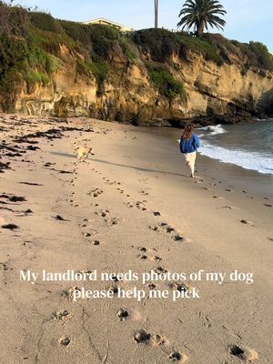 I think they’ll like her #dogsoftiktok 