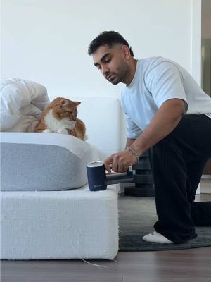 sunday reset before I head out of town, I like coming back to a clean home 🧺  come hang with me and my little supervisor for the weekend reset + rnb #sundayreset #cleanwithme #cleaningmotivation #weekendreset #CleanTok 
